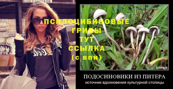 apvp Абинск