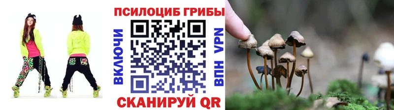 Галлюциногенные грибы мицелий  сколько стоит  Покачи 
